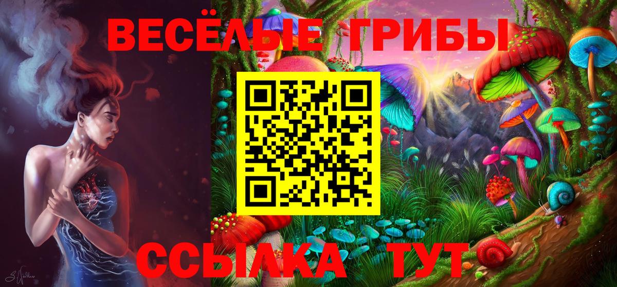 Псилоцибиновые грибы MAGIC MUSHROOMS  Вход с VPN  Клинцы 